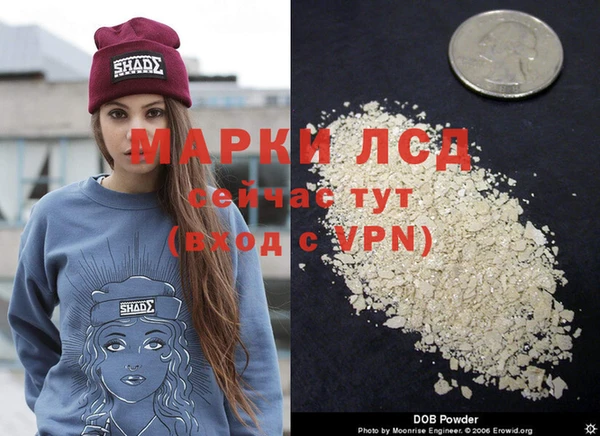 таблы Каменногорск
